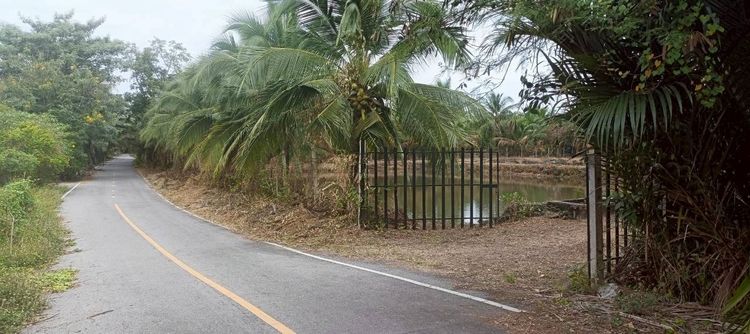 อื่นๆ มีบางส่วน 2015 บ้านสวนบรรยากาศดี มีบ่อปลาหน้าบ้าน รูปที่ 2