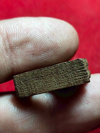 คชสิงห์หลวงปู่รอดวัดบางน้ำวน รูปที่ 3