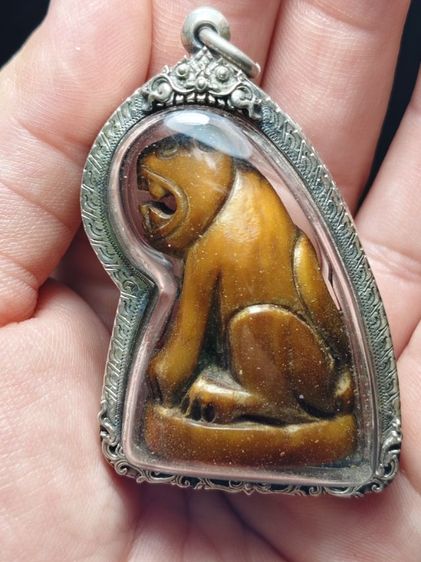 เสือหลวงพ่อปานสูง 4 cm