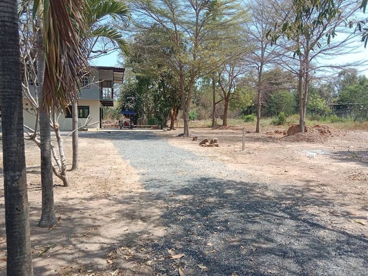 ไม่มี บ้านให้เช่า อ.สีคิ้ว จ.นครราชสีมา รูปที่ 2