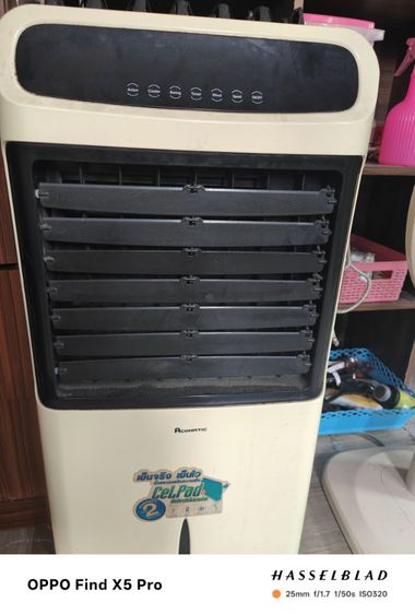 ผัดลมไอเย็น