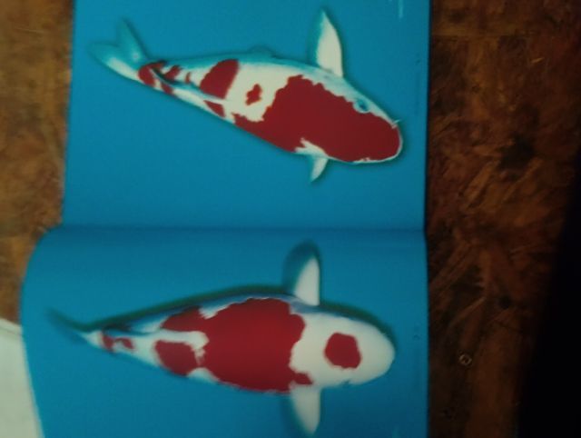 หนังสือแฟนซีครับญี่ปุ่น รูปที่ 3