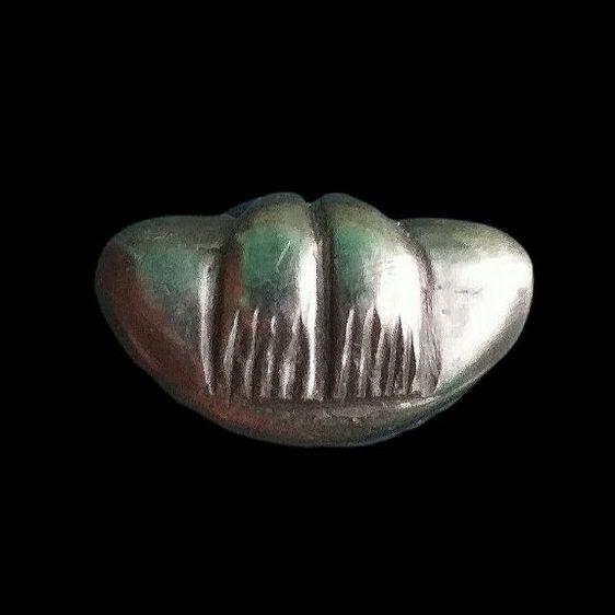 หลวงปู่นาค วัดห้วยจรเข้. รูปที่ 5