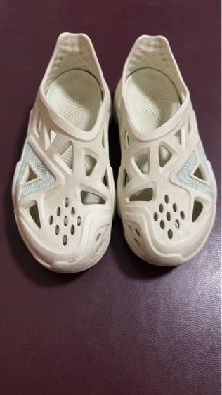 Perk Taichi extreme รูปที่ 5