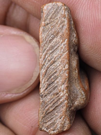 พระนางพญา 16126804 รูปที่ 4