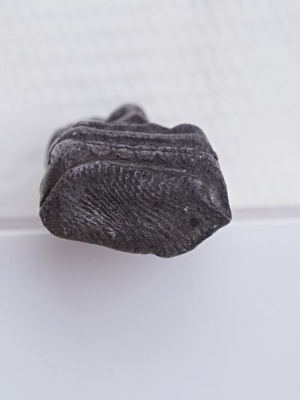 พระรอด 17126809 รูปที่ 3