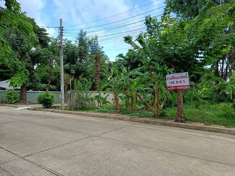 ขายที่ดินเปล่า 168 ตารางวา ในหมู่บ้านกาญจนาลักษณ์ 3  บางกรวย นนทบุรี 