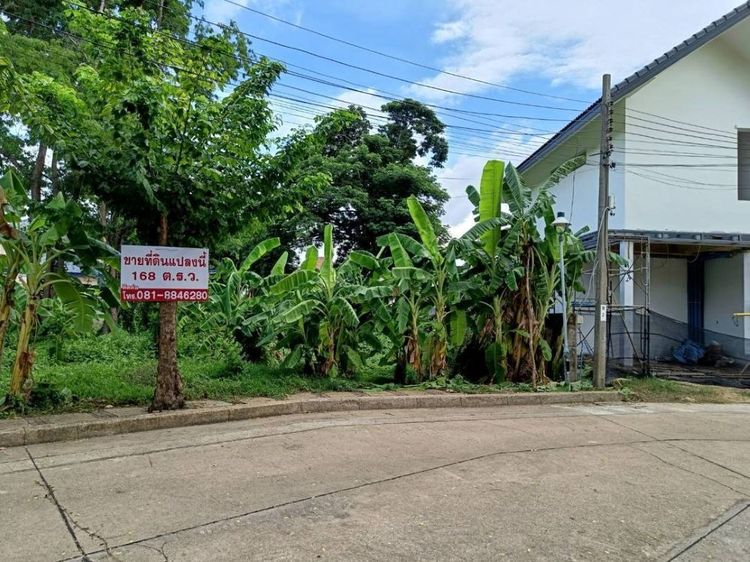 ขายที่ดินเปล่า 168 ตารางวา ในหมู่บ้านกาญจนาลักษณ์ 3  บางกรวย นนทบุรี  รูปที่ 3
