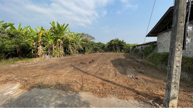 ที่ดินทำเลดี รูปที่ 3