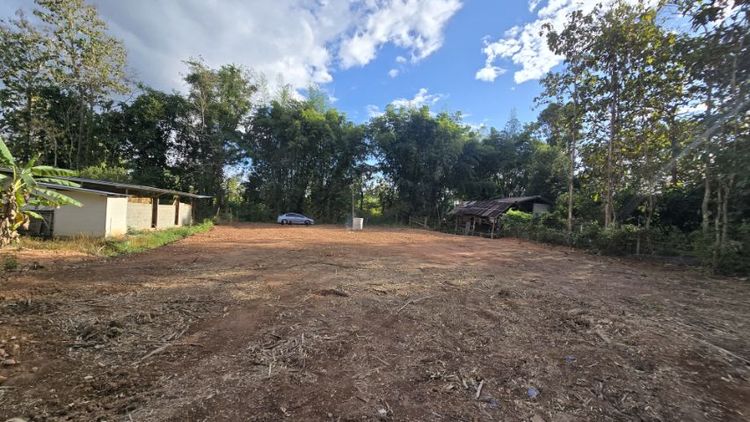 ใช่ ขายที่ดินน้ำไม่ท่วม น้ำประปาไฟฟ้าพร้อม ขนาด 245 ตรว. บ้านกิ่วป่า 5 อำเภอเมืองน่าน จ.น่าน ยกแปลง รูปที่ 3