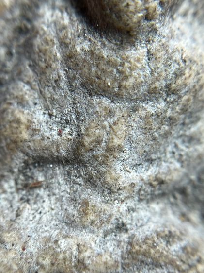 พระสมเด็จวัดระฆังพิมพ์สมเด็จโต รูปที่ 9