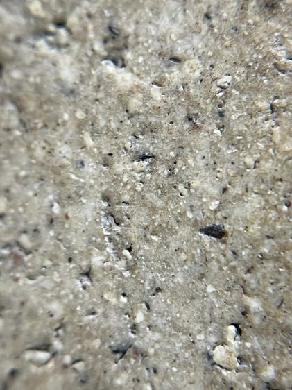 พระสมเด็จวัดระฆังพิมใหญ่เกศทะลุซุ้มสังคติ รูปที่ 12