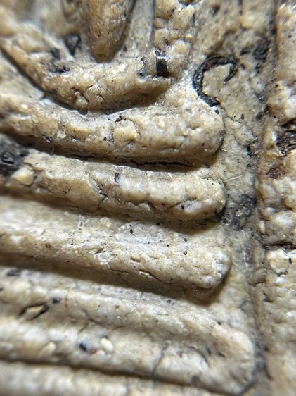 พระสมเด็จวัดระฆังพิมใหญ่เกศทะลุซุ้มสังคติ รูปที่ 7