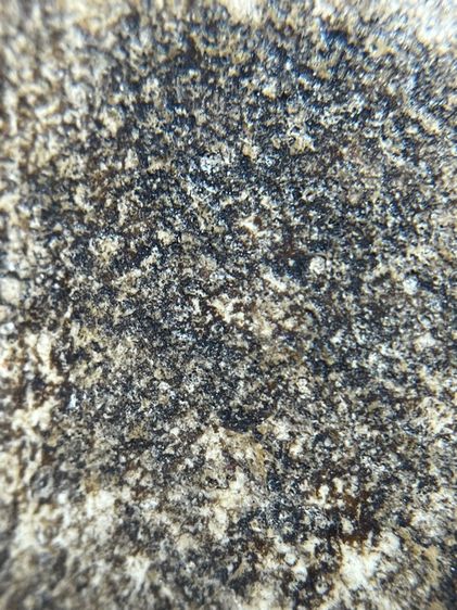 พระสมเด็จปางยีนประทานพร กรุเจดีย์เล็ก เนื้อหาเก่ามากน่าเก็บสะสม รูปที่ 11