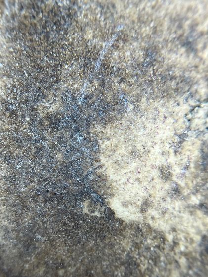 พระสมเด็จวัดระฆังพิมพ์เกศตู้ม รูปที่ 12