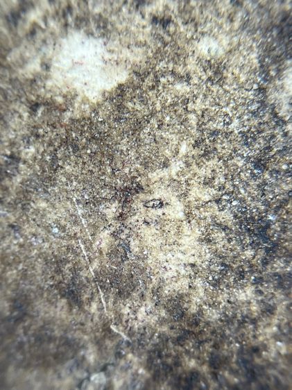 พระสมเด็จวัดระฆังพิมพ์เกศตู้ม รูปที่ 14