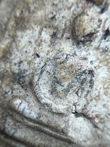 พระสมเด็จวัดระฆังพิมพ์เกศตู้ม รูปที่ 7