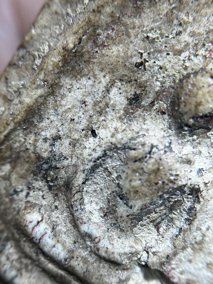 พระสมเด็จวัดระฆังพิมพ์เกศตู้ม รูปที่ 5