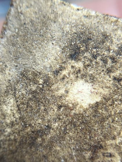 พระสมเด็จวัดระฆังพิมพ์เกศตู้ม รูปที่ 15