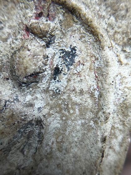 พระสมเด็จวัดระฆังพิมพ์เกศตู้ม รูปที่ 8