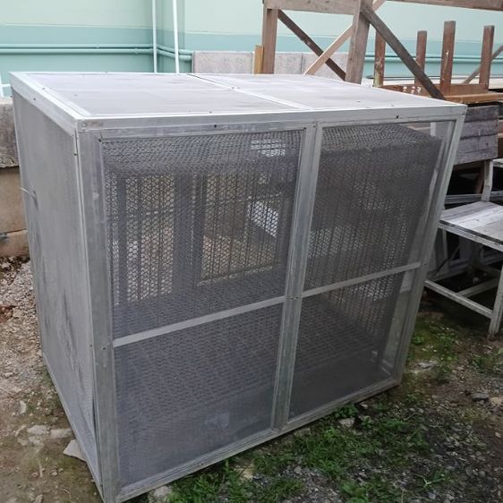 กรงหมา รูปที่ 7