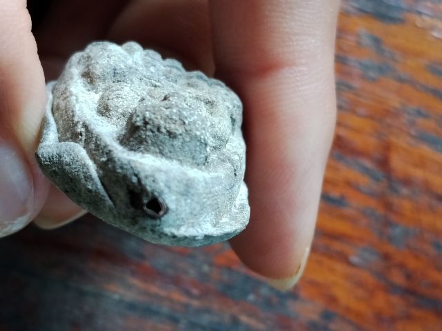 เปิดครับหลวงปู่ทวดตะกรุด9ดอก วัดสุทัศน์ รูปที่ 4