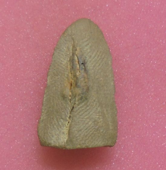 พระรอด เนื้อดิน ไม่ทราบที่ รูปที่ 2