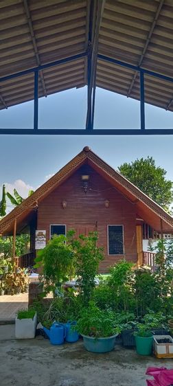 อื่นๆ บ้านสวนพร้อมสวนฝรั่งไส้แดง 3 ไร่ มีผลผลิต รายได้เสริม ใกล้เมืองเชียงใหม่