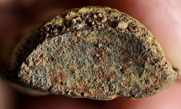 พระกรุเจดีย์ทอง(ปทุมวดี) รูปที่ 3