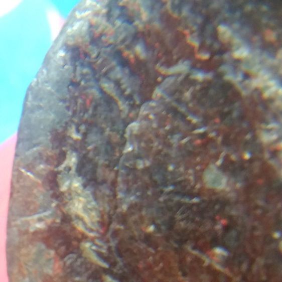 นาคปรก สนิมแดง ลพบุรี รูปที่ 4