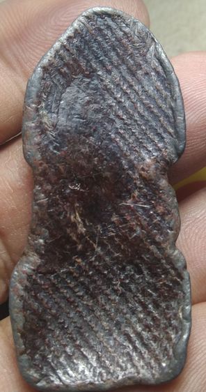 นาคปรก สนิมแดง ลพบุรี รูปที่ 2