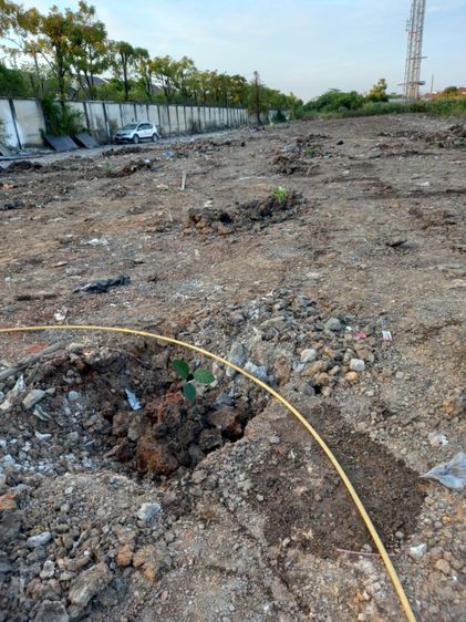 ขายที่ดินเปล่า ถ.เลียบคลองสอง 2 ซ.20 รูปที่ 3