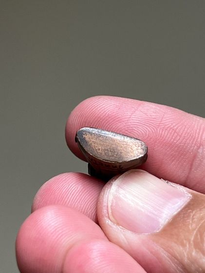 หลวงพ่อรวย วัดตะโก ปี56 รูปที่ 5