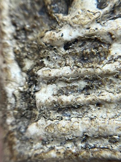 พระสมเด็จบางขุนพรหมพิมพ์ฐานและแซม รูปที่ 10