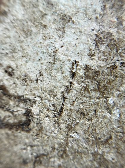 พระสมเด็จบางขุนพรหมพิมพ์ฐานและแซม รูปที่ 12