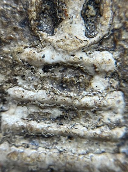 พระสมเด็จบางขุนพรหมพิมพ์ฐานและแซม รูปที่ 11