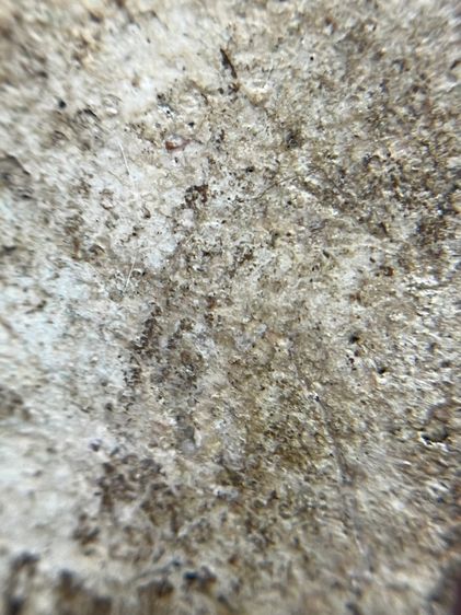 พระสมเด็จบางขุนพรหมพิมพ์ฐานและแซม รูปที่ 15