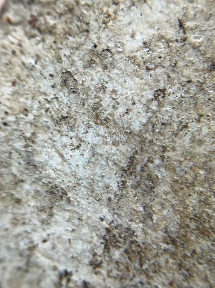 พระสมเด็จบางขุนพรหมพิมพ์ฐานและแซม รูปที่ 14