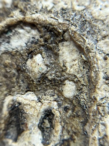 พระสมเด็จบางขุนพรหมพิมพ์ฐานและแซม รูปที่ 9