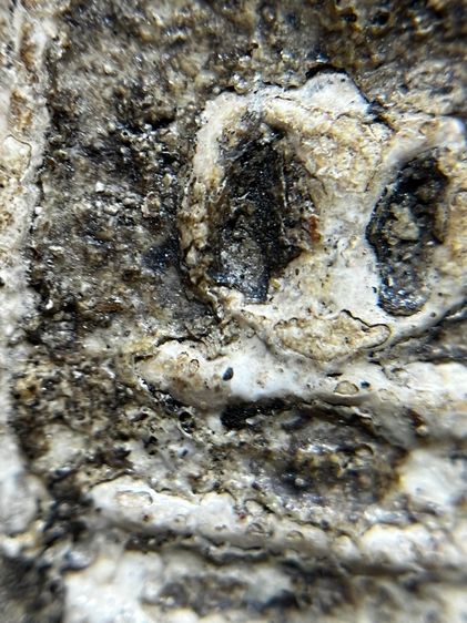 พระสมเด็จบางขุนพรหมพิมพ์ฐานและแซม รูปที่ 7