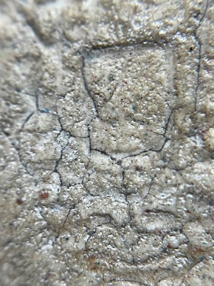 สมเด็จวัดระฆังพิมพ์ใหญ่หนังตาแผ่นดิน รูปที่ 10