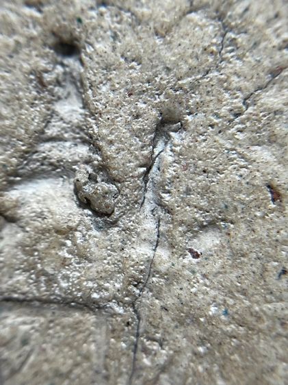 สมเด็จวัดระฆังพิมพ์ใหญ่หนังตาแผ่นดิน รูปที่ 12