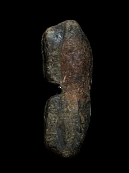 พระรอดพายคู่ฝั่งเม็ดกิ่งเหล็กไหลเขย่าดัง รูปที่ 3