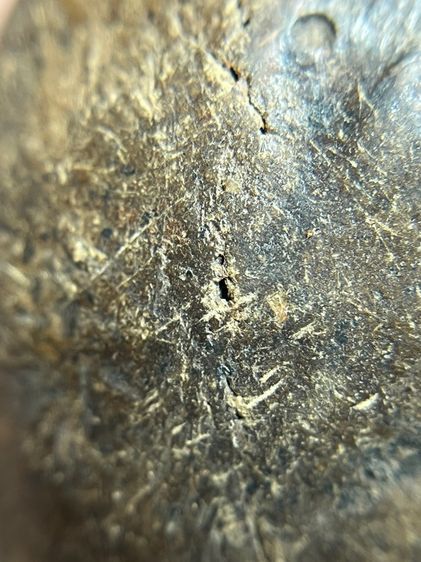 พระรอดพายคู่ฝั่งเม็ดกิ่งเหล็กไหลเขย่าดัง รูปที่ 13