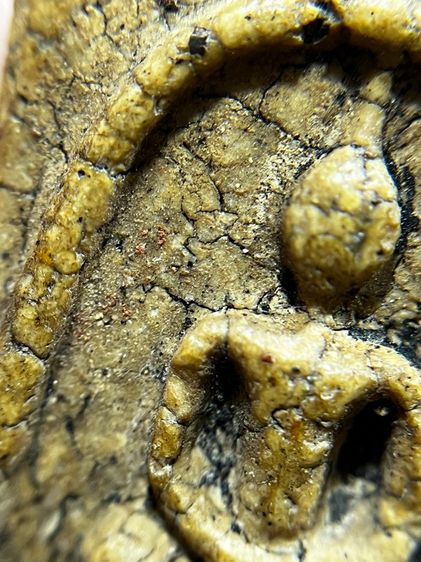 พระสมเด็จพิมพ์อกกระบอกหลังอักษรจีน รูปที่ 9