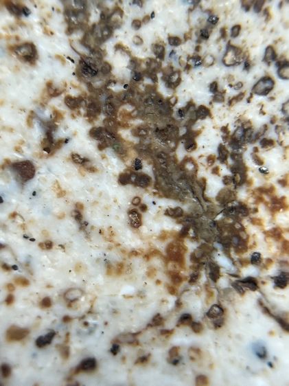 พระสมเด็จวัดระฆังพิมพ์เกศบัวตูม รูปที่ 14