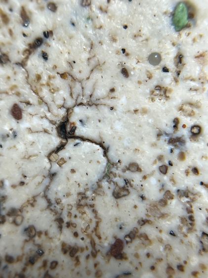 พระสมเด็จวัดระฆังพิมพ์เกศบัวตูม รูปที่ 15