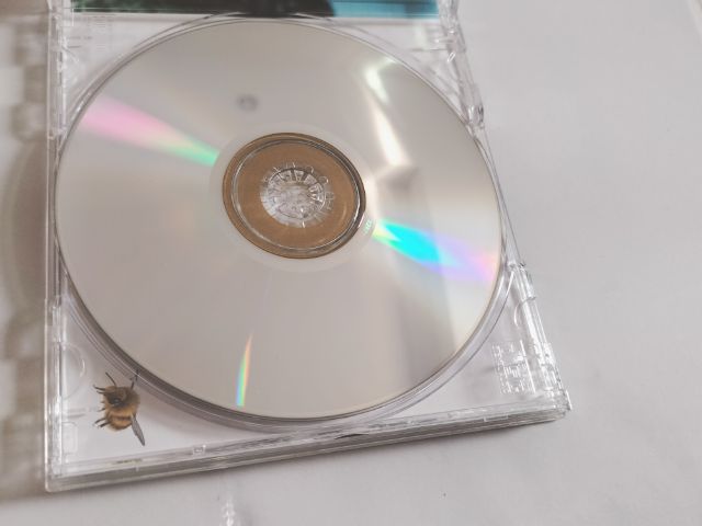 แผ่นซีดออดิโอ ของศิลปินชื่อดังระดับโลก Beyoncé รูปที่ 2