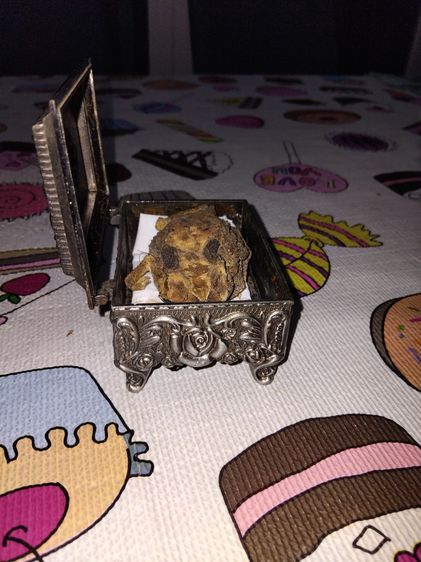 คางคกตายพราย หรือ อุทัยเทวี ขนาดใหญ่เท่าของจริง แห้ง แข็ง อวัยวะครบทุกส่วน สวยสมบูรณ์ เป็นธรรมชาติ เก่า แท้ แปลก หายาก พร้อมกล่องเก่าลายไทย  รูปที่ 11