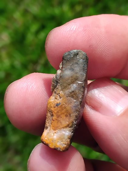 พระนางพญา พิมพ์สังฆาฏิ วัดนางพญา พิษณุโลก ขนาดพระ 1.9 x 2.5 ซม.เนื้อดินเผา ผิวสองสี พระหนาสวย สภาพพระสวยแชมป์ เดิมๆ เด่นสุดที่พระพักตร์แบบที รูปที่ 3